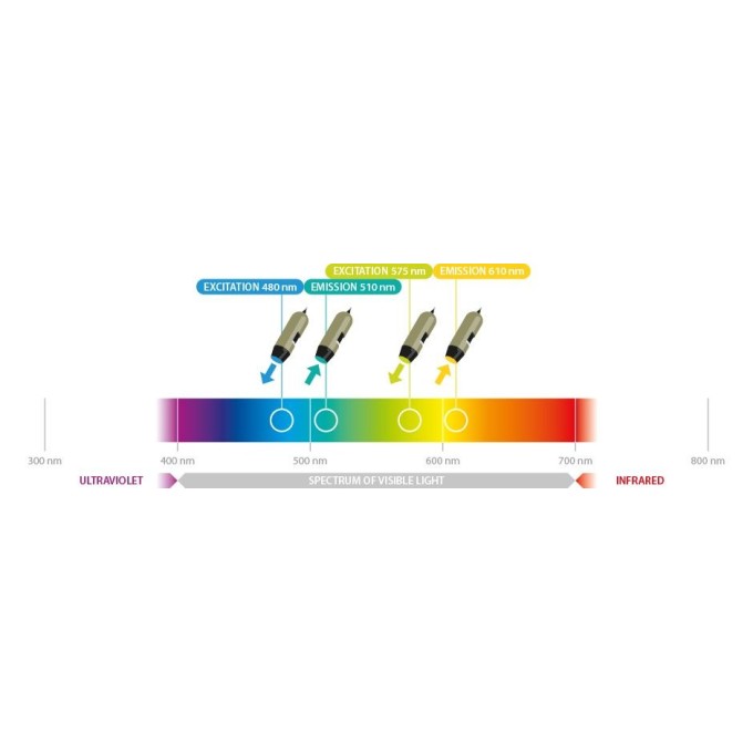 Microscop portabil USB Dino-Lite - AM4115T-GRFBY cu dubla fluorescenta - surse de iluminare (albastra/480nm si galbena/575nm) si filtre corespunzatoare (510nm si 610nm)